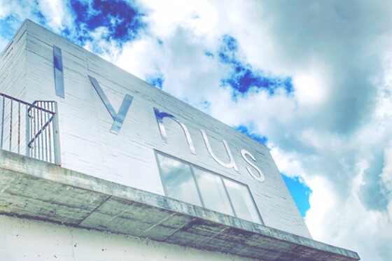 LYNUS, VIÑEDOS Y BODEGAS - photo 5