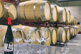 LYNUS, VIÑEDOS Y BODEGAS
