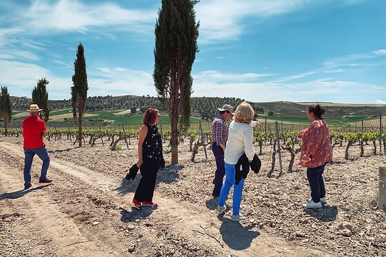 LYNUS, VIÑEDOS Y BODEGAS - photo 7