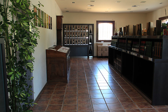 MAS BERTRAN - photo 2