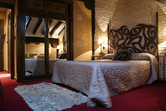 HOTEL CASA DEL MARQUES - photo 4