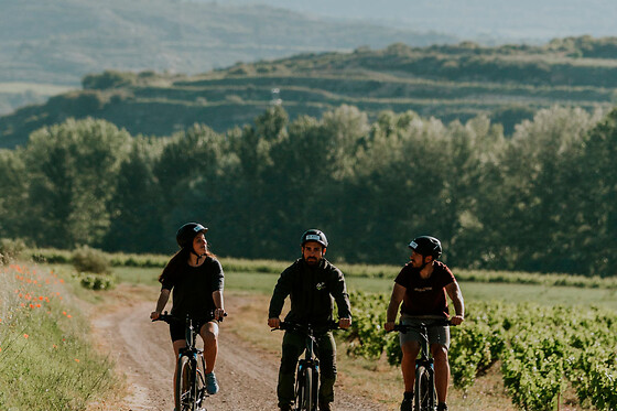 GRAPE AVENTURA - photo 4