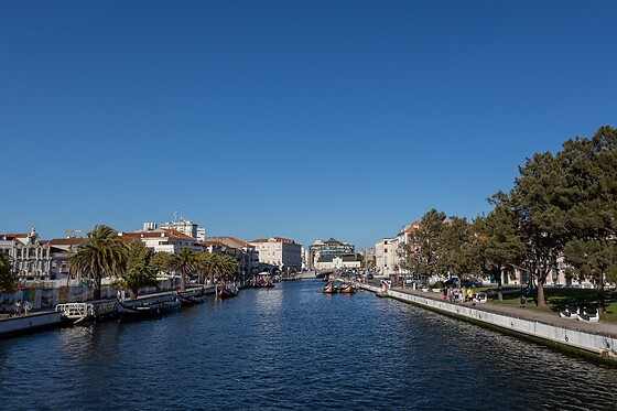 Aveiro com Paixão - photo 3
