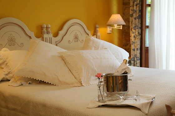PALACIO DE LA VIÑONA - photo 9