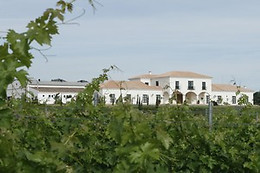 VIÑA SANTA MARINA