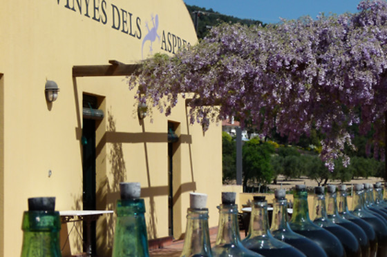 VINYES DELS ASPRES - photo 2
