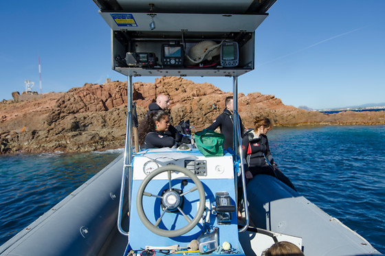 Aquatic Rando - photo 25