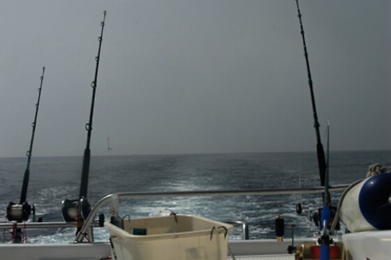 CAP A MAR - photo 1