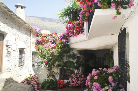 DISCOVERING SPAIN - photo 4