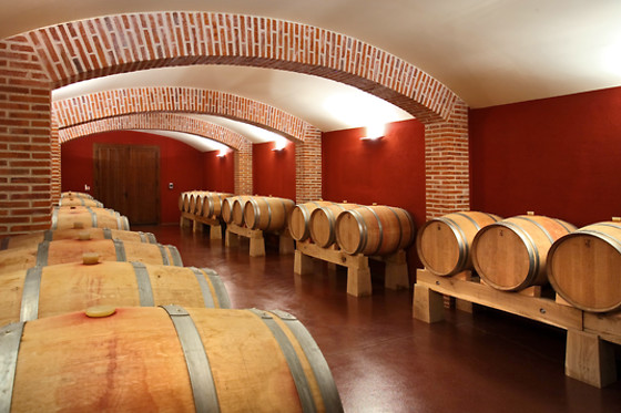 BODEGA FINCA VILLACRECES & BODEGA IZADI - photo 5