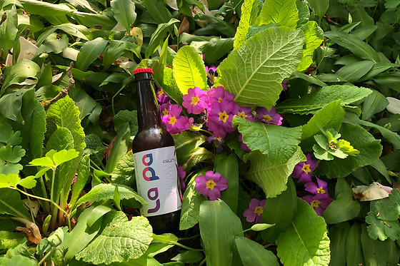 Brasserie de Metzert - photo 17
