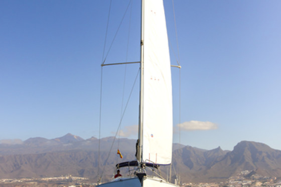 WHITE TENERIFE - photo 9