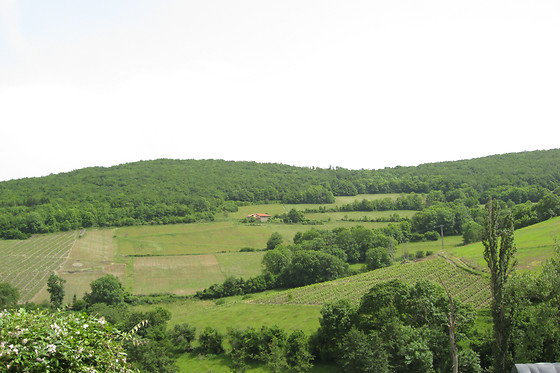 Le relais du colombier - photo 17