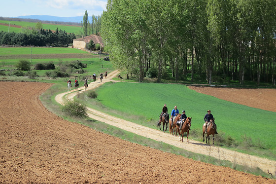 LA HIPICA - photo 2