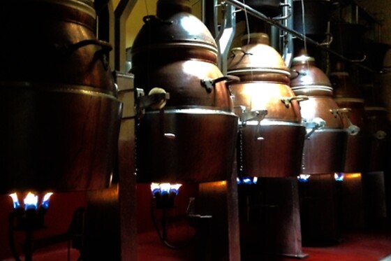 BODEGA PICOS - photo 0