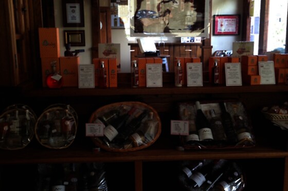 BODEGA PICOS - photo 1