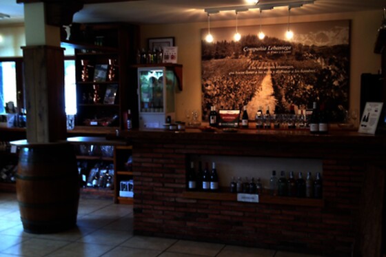 BODEGA PICOS - photo 2