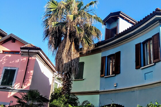 Guida Turistica Privata - photo 22