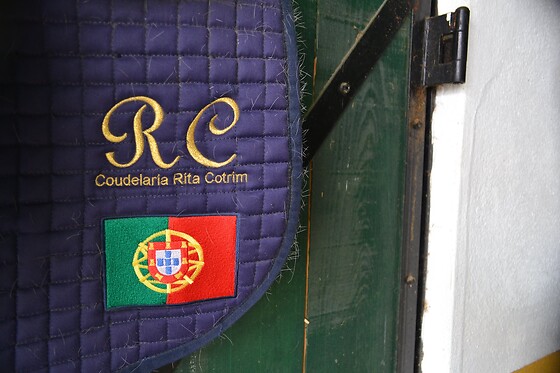 Coudelaria Rita Cotrim - photo 16