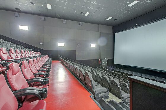 CINESA - photo 10
