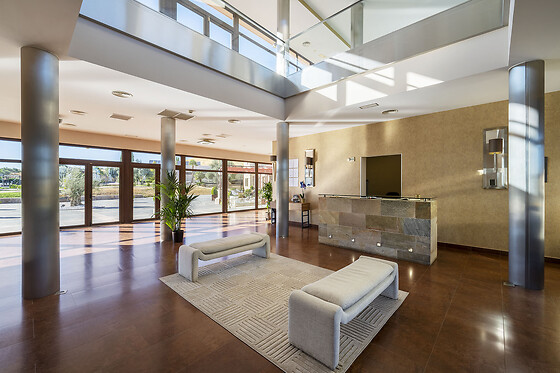 HOTEL SPA VILLA NAZULES - photo 8