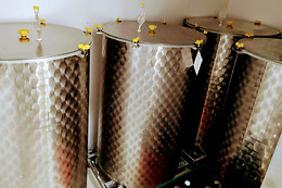 Brasserie Monalixa