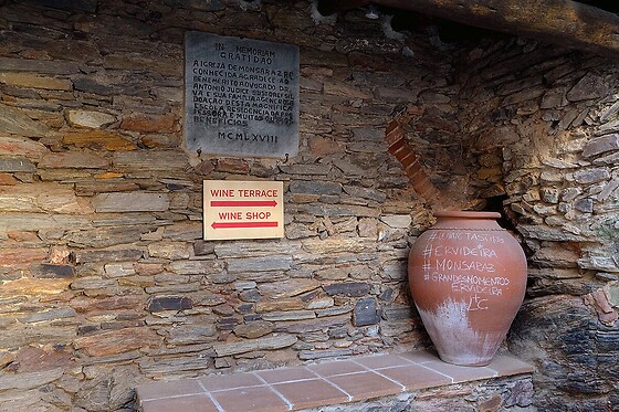 Ervideira Wine - photo 3