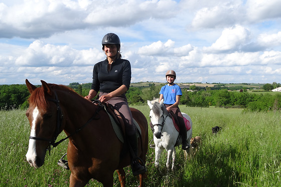 Un Poney, une histoire - photo 0
