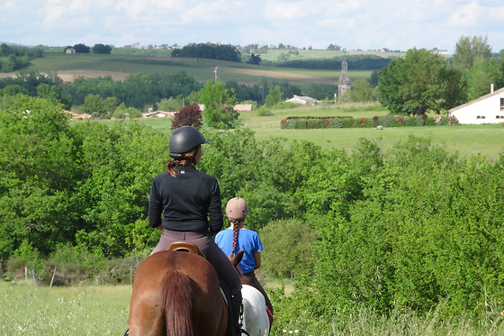 Un Poney, une histoire - photo 3
