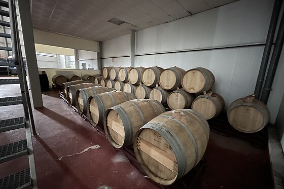 BODEGA LENEUS - photo 4
