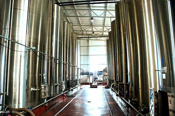 BODEGA LENEUS - photo 3