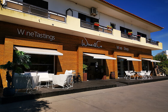 Wines&Co - photo 3