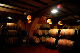 BODEGAS Y VIÑEDOS BARON D'ALBA