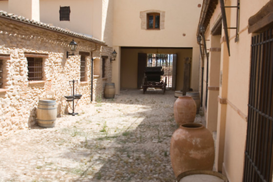 BODEGAS LOS PINOS - photo 6