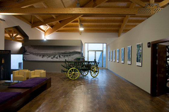 BODEGAS LUZON - photo 8