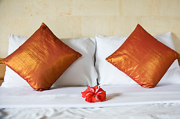 HOTEL ARVA SPA PARIS