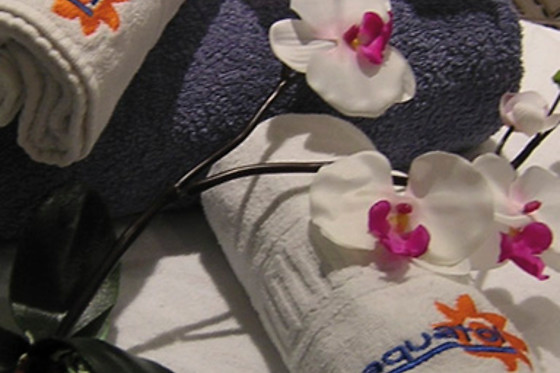 SPA AQUATOL TOLEDO - photo 6