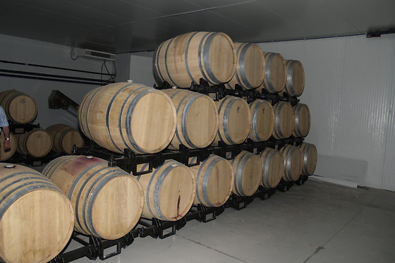 BODEGAS CONTRERAS - photo 3