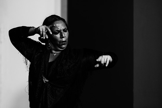 ALEGRÍA FLAMENCO Y GASTRONOMÍA - photo 6