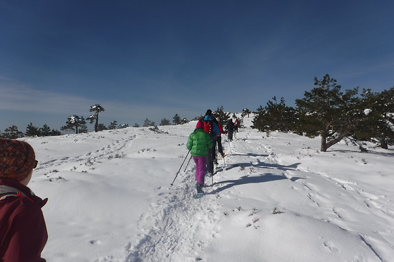 PLANETSPORT MULTIAVENTURA - photo 7