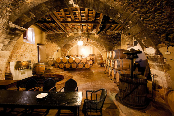 BODEGAS TORRE DEL VEGUER - photo 3