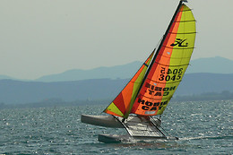 WINDISCOVERY