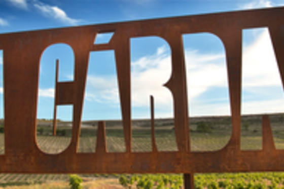BODEGA FINCA CARDABA - photo 4