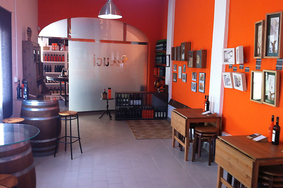 BODEGAS SAUCI - photo 2