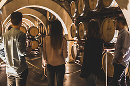 BODEGAS LUZON