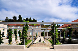 PAZO BAIÓN