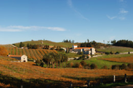 PAZO BAIÓN