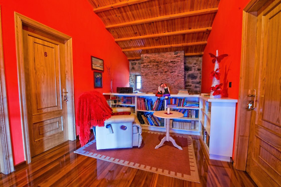XANELA DA LUA - photo 3