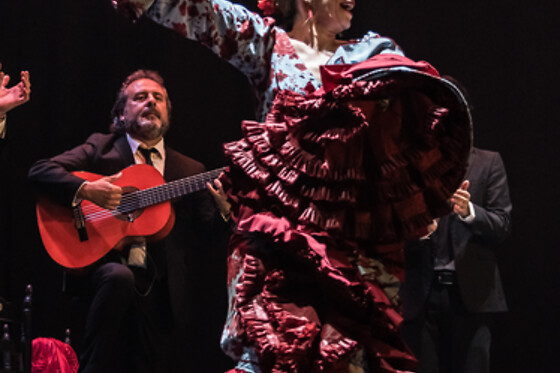 TEATRO FLAMENCO SEVILLA - photo 4
