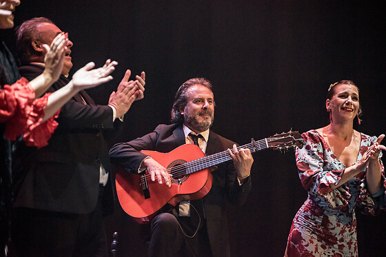 TEATRO FLAMENCO SEVILLA - photo 5